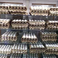 یخچال مغازه|فروشگاه و مغازه|شیروان (خراسان), |دیوار