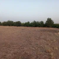 باغ-انگور-و-زمین-17000متر-مربع