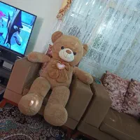 خرس بزرگ