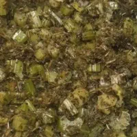 لوبیا سبز