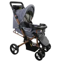 کالسکه چیکو ایتالیایی