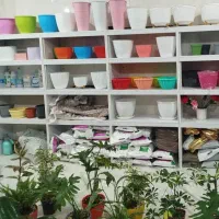 دکور مغازه