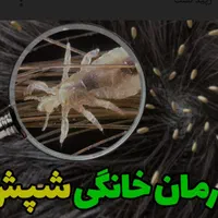 قطره تضمینی ضدشپش