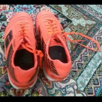 مانتو دوتیکه|لباس|قم, شهرک امام حسین|دیوار