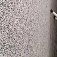 پالاز موکت
