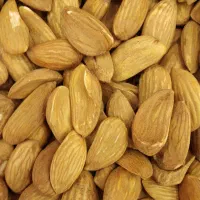 خرید بادام با قیمت بالا