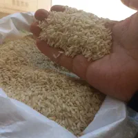 برنج عنبربو خوش اخلاق جایگزین برنج میانه|خوردنی و آشامیدنی|تبریز, |دیوار