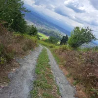 نیازمندسرویس مدرسه