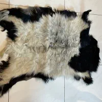 پوست بز|صنایع دستی و سایر لوازم تزئینی|ری, دولتآباد|دیوار