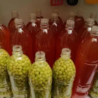 آبغوره طبیعی( کلی فروشی)