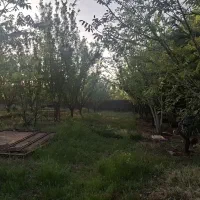 فروش باغ