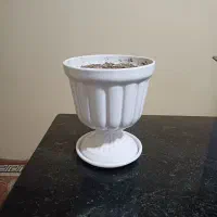 گل و گلدان|گل مصنوعی|کرمانشاه, |دیوار