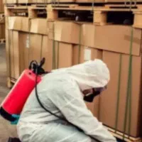 سمپاشی ساس،سوسک،موش،حشرات