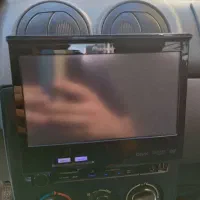 ظبط