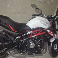 بنلی ۳۰۰ نیوفیس جفت خشک ۱۴۰۳