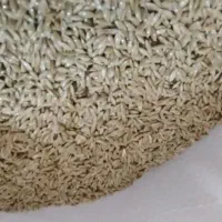 تخم کتان|عمده‌فروشی|مرودشت, دولت آباد|دیوار