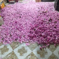 گل محمدی