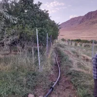 باغ و زمین باغ فروشی