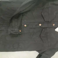 کت لی
