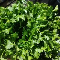 سبزی رامهرمز