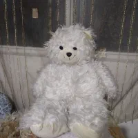 عروسک خرس شاسخین سالم