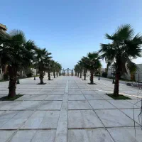 ۱۹۰ متر ساحل طلایی پلاک ۱ دریا کلید نخورده/کد ۵۹۴۶|فروش آپارتمان|تنکابن, |دیوار