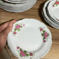 ظروف پذیرایی گل سرخی