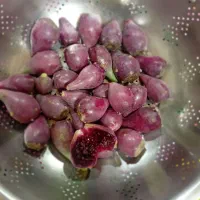 میوه کاکتوس تازه سرشار از آنتی اکسیدان