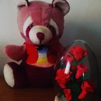 خرس خوشگله شاخسی رنگین کمانی زیبا