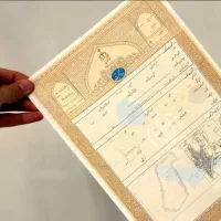 سند تک برگ