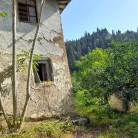 ۵۱۸۰ متر زمین با ویوی بی نظیر جنگل دالخانی