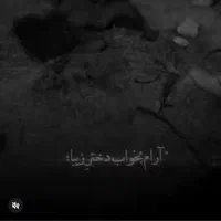 فروشی|بلیت کنسرت|تهران, اسکندری|دیوار