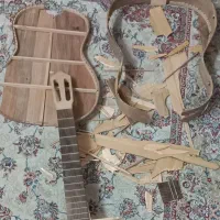 سرویس و تمیز کاری فینگربرد گیتار      برند لارا