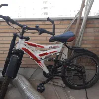 دوچرخه حرفه ای