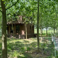 زیباترین-ویلاهای-چوبی-شیشه-ای