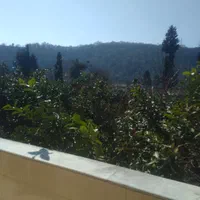 سوئیت دو خواب تمیز با پارکینگ|اجارهٔ کوتاهمدت آپارتمان و سوئیت|قائمشهر, |دیوار