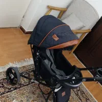 کالسکه در حد نو دلیجان