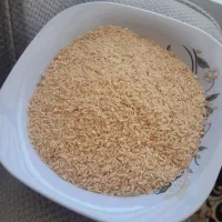 برنج دم سیاه