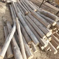 خرید چوب سقفی و سپیدار ب قیمت مناسب