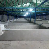 فروش سوله تجهیز شده برای پرورش آبزیان|فروش دفتر صنعتی، کشاورزی، تجاری|رشت, بلوار گیلان|دیوار