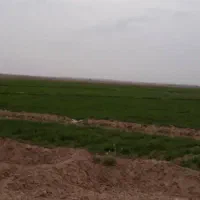 زمین-کشاورزی-در-اوردکلو