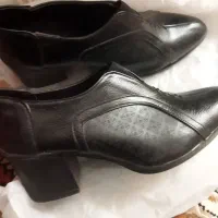 کفش|کیف، کفش، کمربند|بوشهر, |دیوار