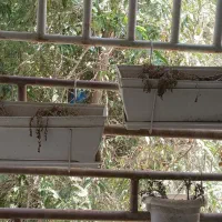 گلدون و استند آویز پلیمری پلاستیکی و سفالی