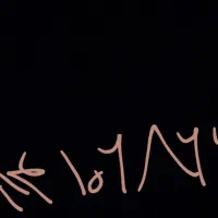 سیم کارت دائمی همراه اول