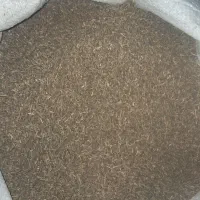 زیره سبز دیمی|عمده‌فروشی|شراء, |دیوار