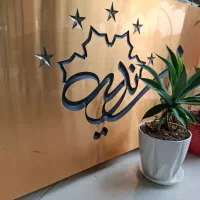 نظافت چی آقا