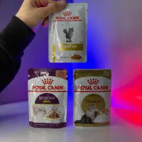 غذای خشک تر سگ و گربه