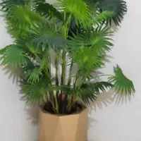 درختچه مصنوعی خارجی