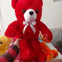 عروسک ولنتاین|اسباب‌بازی بچه|بندرعباس, |دیوار