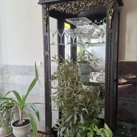 بوفه